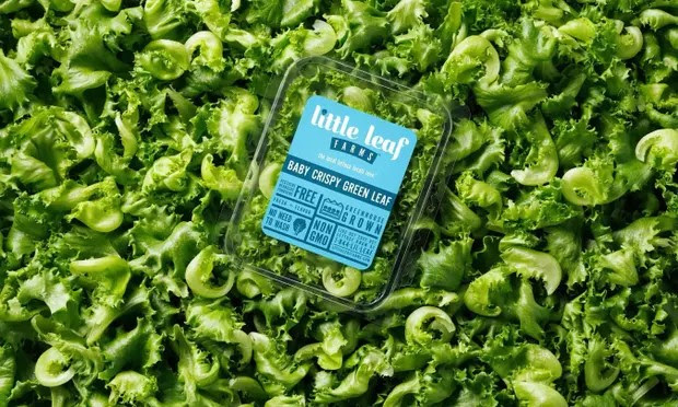Trademarking Lettuce
