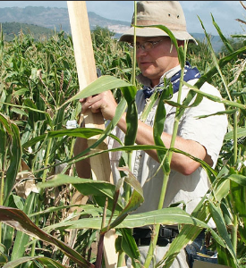 IL Crop Improvement Association Corn Testing