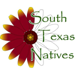 South Texas Natives