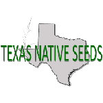 South Texas Natives / Texas Native Seeds